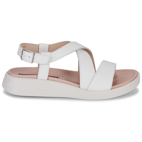 Wonders - C-6505-WILD - Blanc