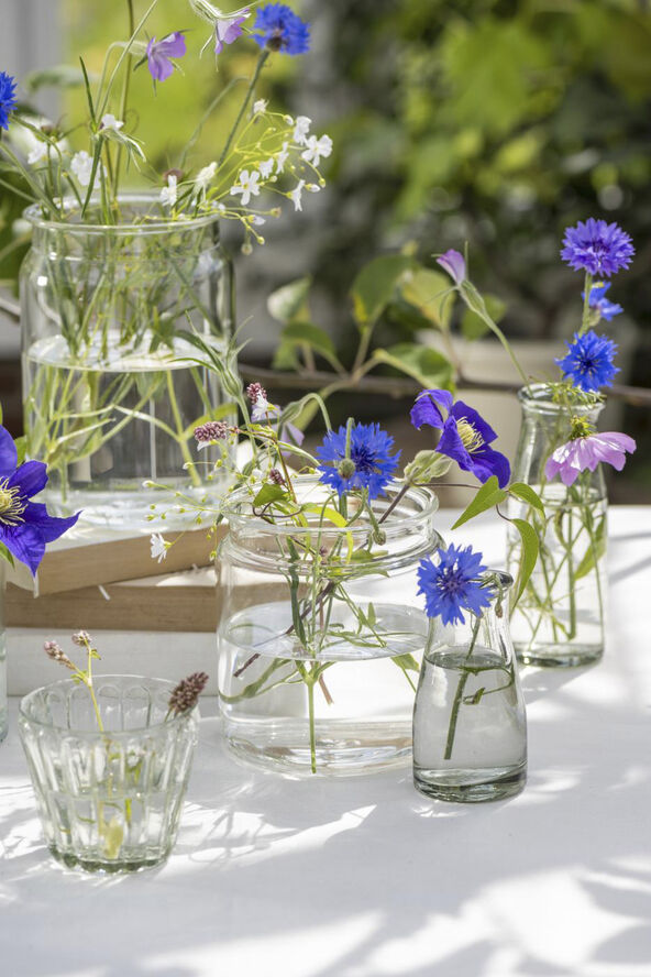 Ib Laursen Vase m/bred kant Claire Glas