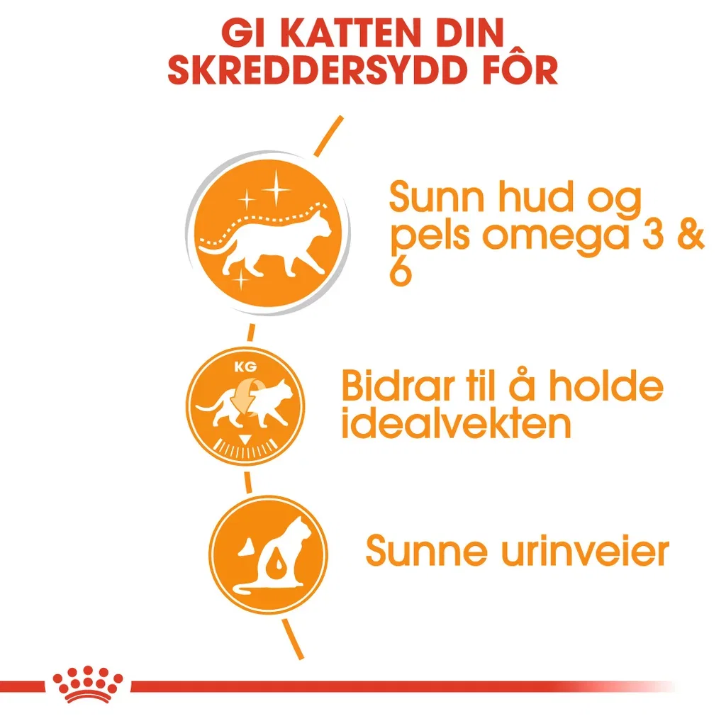 Royal Canin Royal Canin Intense beauty Saus 12x85 g