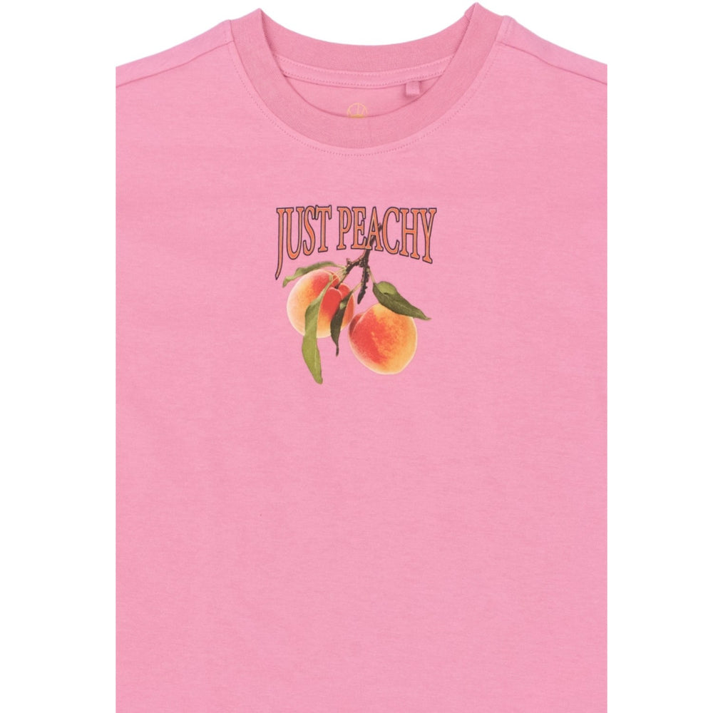 Køb The New Cashmere Rose Tntenna Os S_S Tee