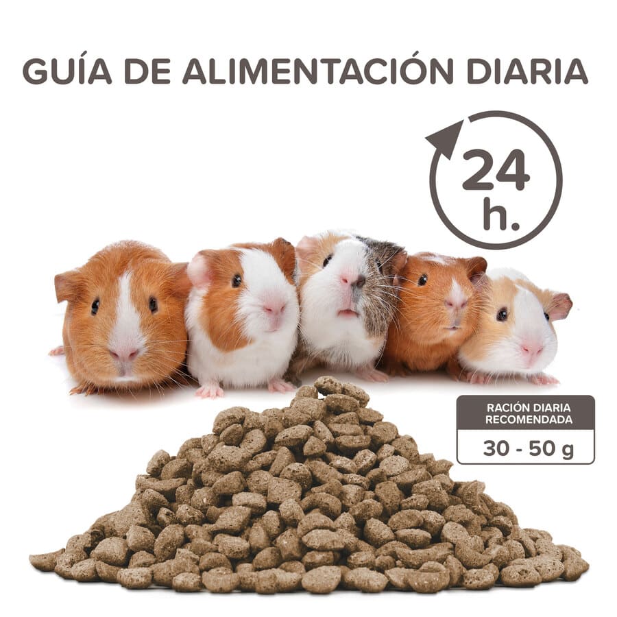 Beaphar Care + Alimento para Porquinhos-da-Índia