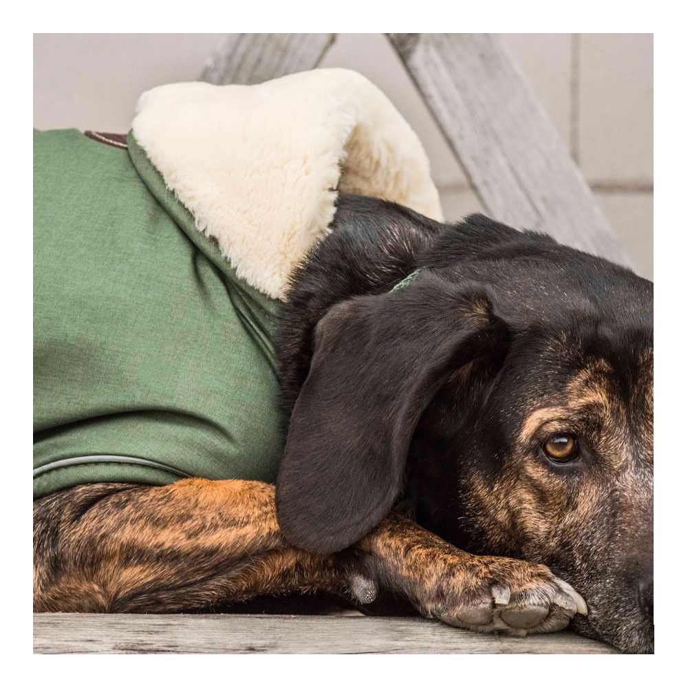 Kentucky WATERPROOF 300G - Couverture pour chien olive green