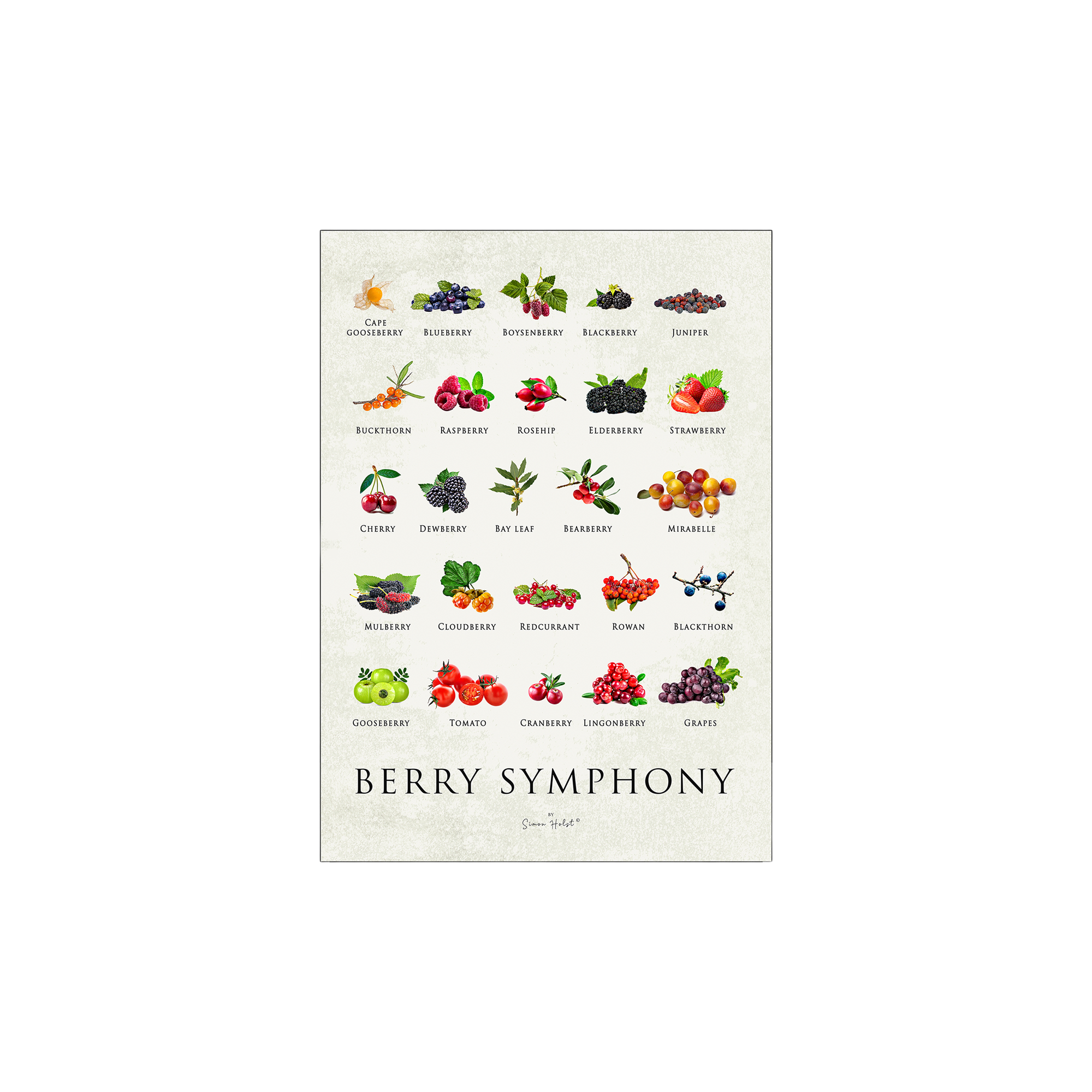 Plakat Berry Symphony 50 x 70 | Simon Holst. | Multi | Poster and Frame