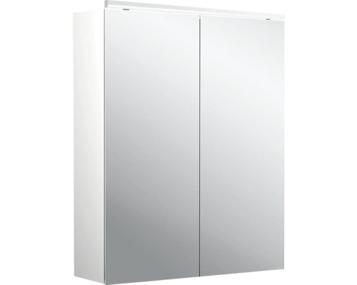 Emco Pure 2 spiegelkast, 60 x 15,3 x 72,9 cm, aluminiumkleurig, 2-deurs, LED, IP20