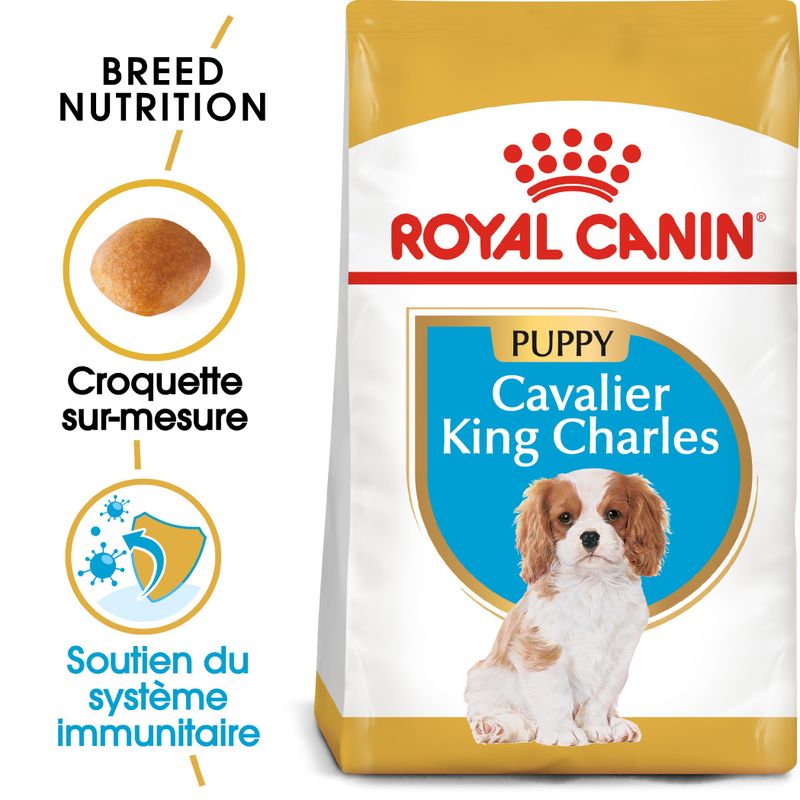 Royal Canin Cavalier King Charles Puppy