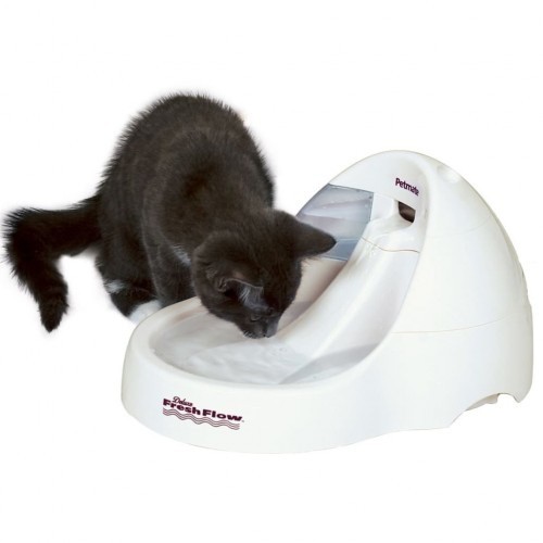 Bebedouro automático para animais de estimação, cor creme