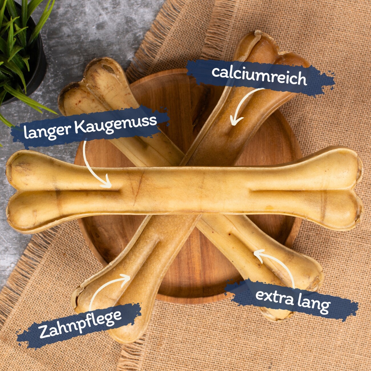 Lyra Pet Kauknochen ca. 30 cm 1,65 kg