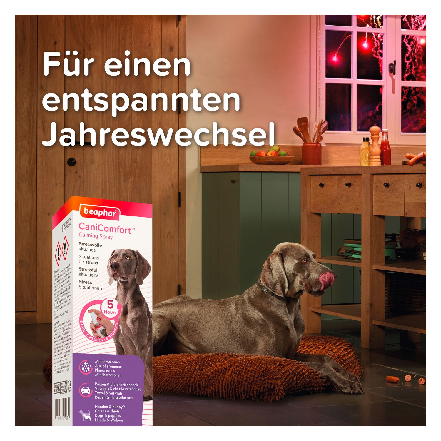 beaphar CaniComfort Wohlfühl-Spray  - 60 ml
