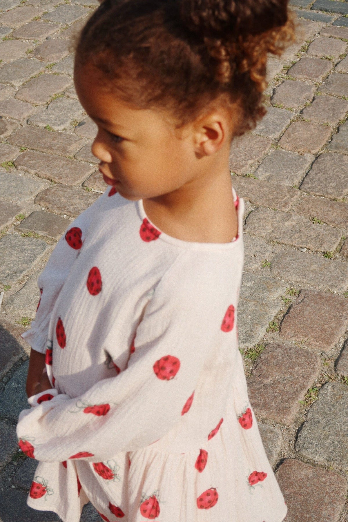 Konges Sløjd Coco Ladybug Dress Gots Ks102213