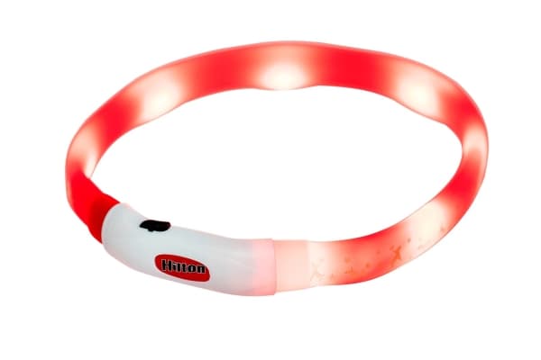 HILTON LED-silikone 1,4x0,8x40 cm med USB - hundehalsbånd