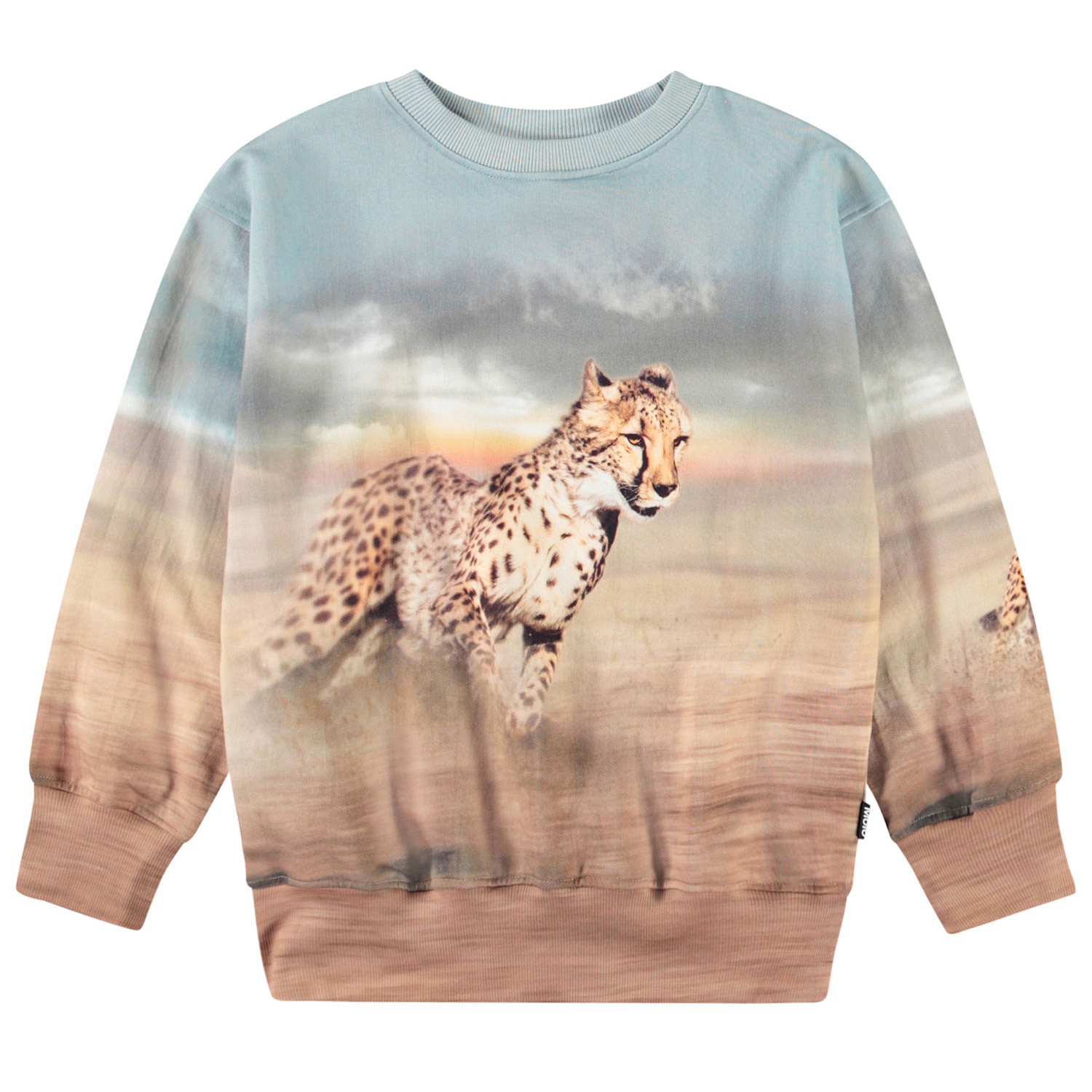 Mattis - Running Cheetahs