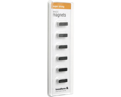 Decoratieve magneten Magic Stick set van 6 zilver