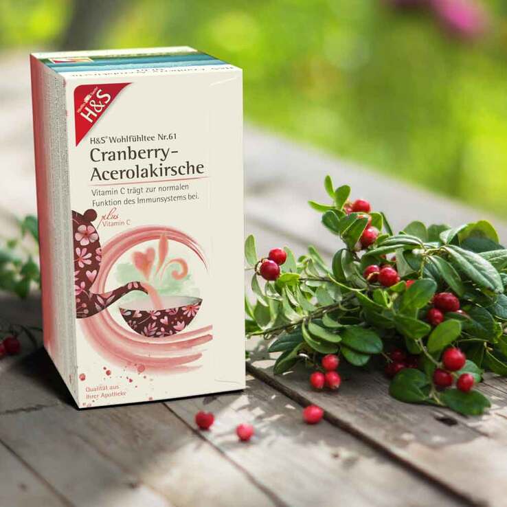 H&S Cranberry-Acerolakirsche mit Vitamin C Fbeutel , 20X2.8 g