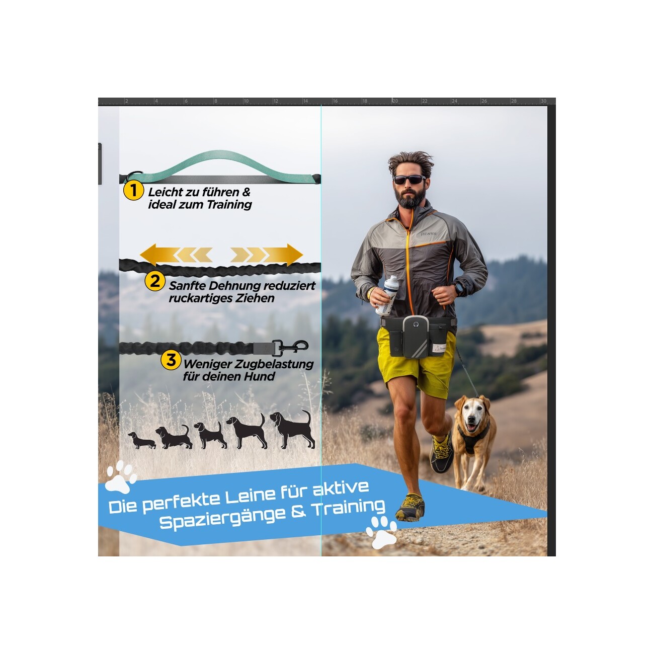Petsation Joggingleine mit Bauchgurt & Rückdämpfer