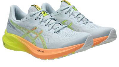 ASICSGT-1000 13 PARIS - grau
