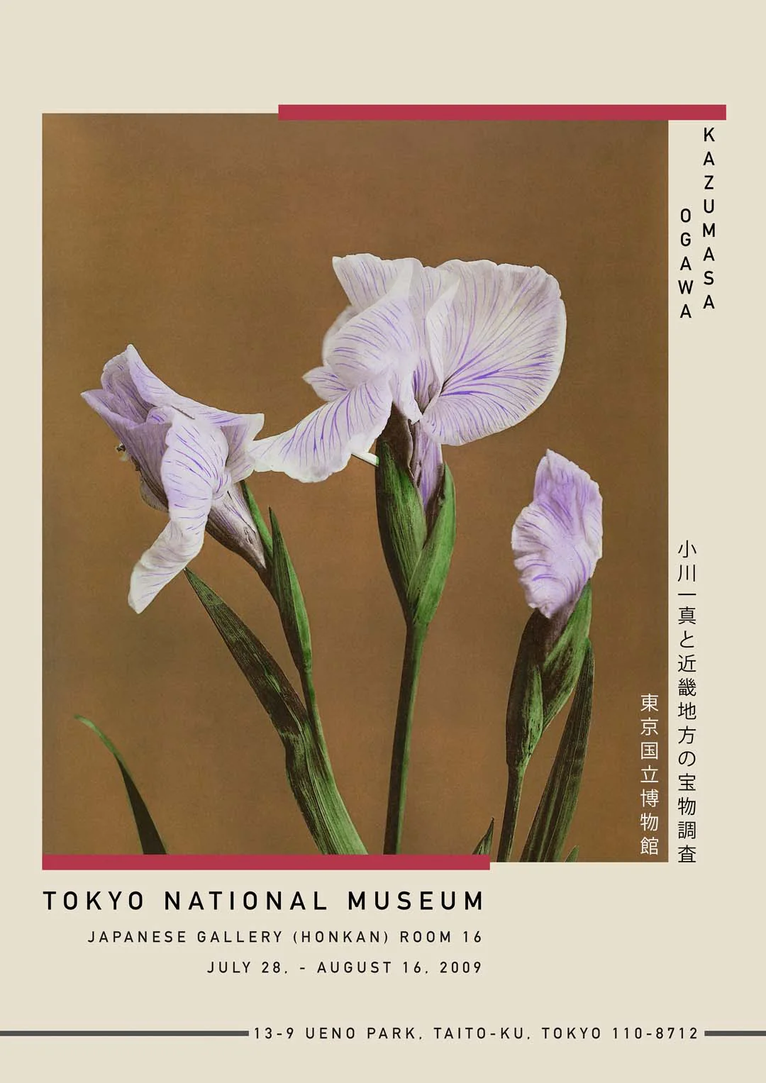 Drei Iris Kæmpferi von Kazumasa Ausstellung