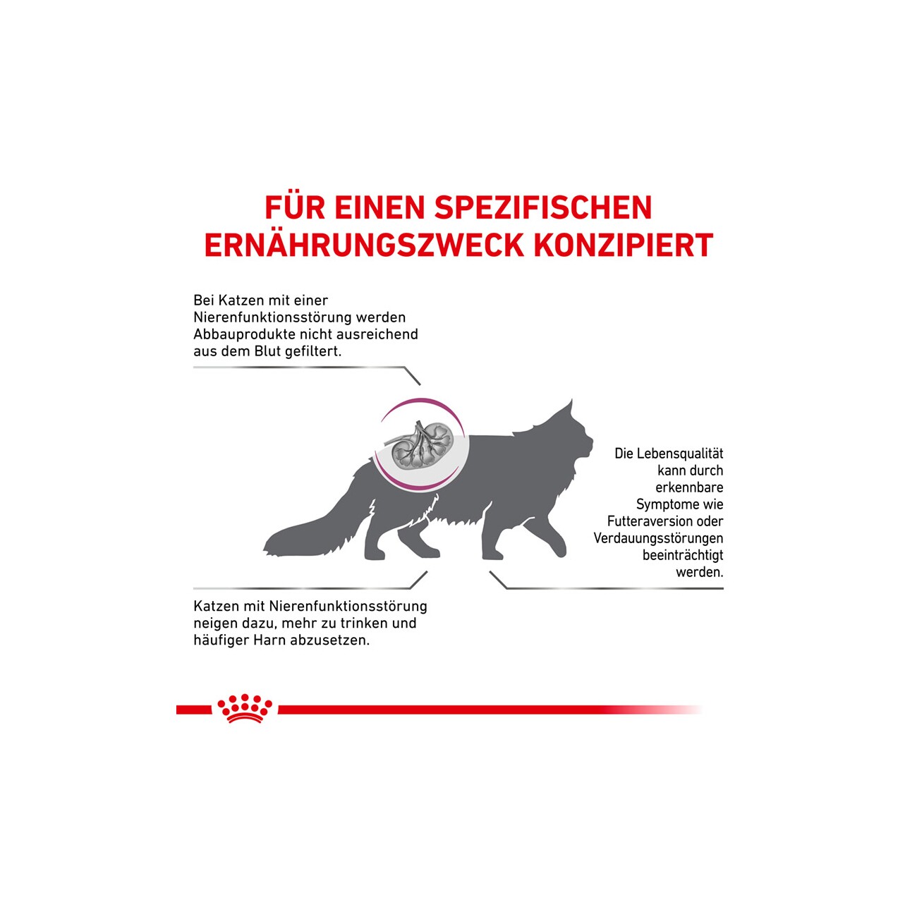 ROYAL CANIN ® Veterinary RENAL SPECIAL 400 g