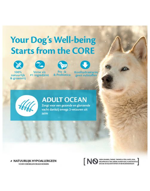 Wellness Core Grain Free Dog Ocean Zalm&Tonijn - Hondenvoer