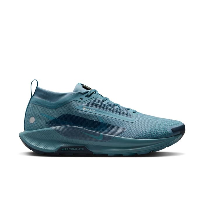 Nike Herre Trailsko Pegasus Trail 5 Gore-Tex Blå