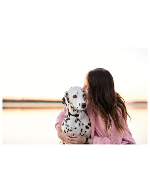Tractive Gps Tracker Voor Honden En Katten - Hondenlocatievinder - 51x41x15 mm Wit
