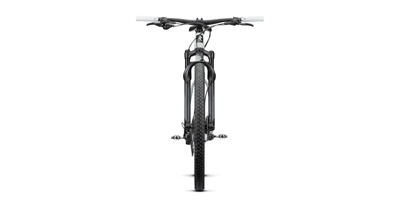 Radon Jealous AL 8.0 kaufen | Bike-Discount