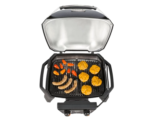 Weber PULSE 2000 with stand