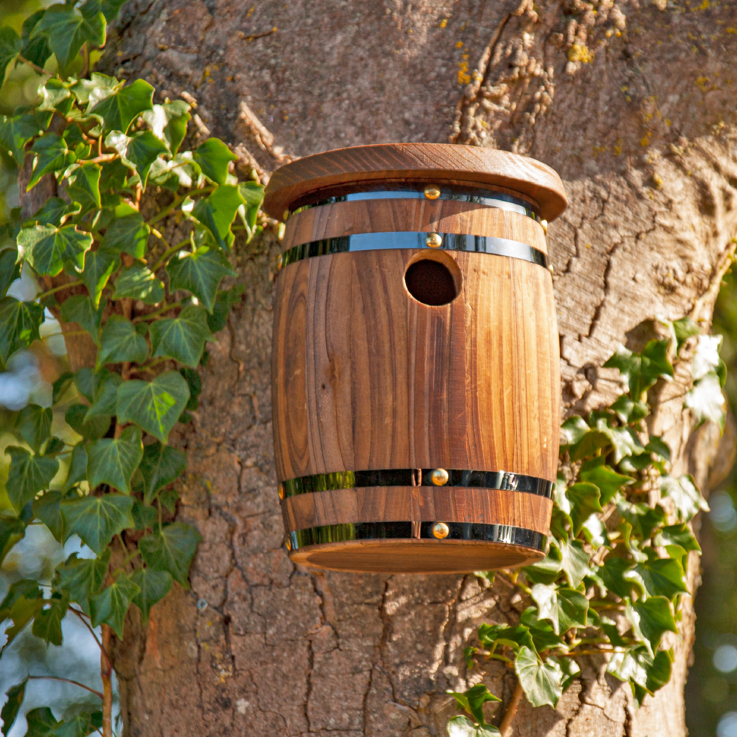 Nid d'oiseaux en baril