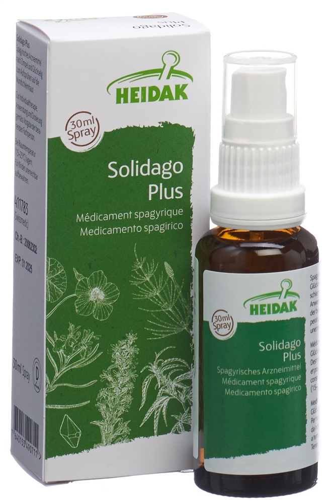 HEIDAK Solidago plus Spray Fl 30 ml