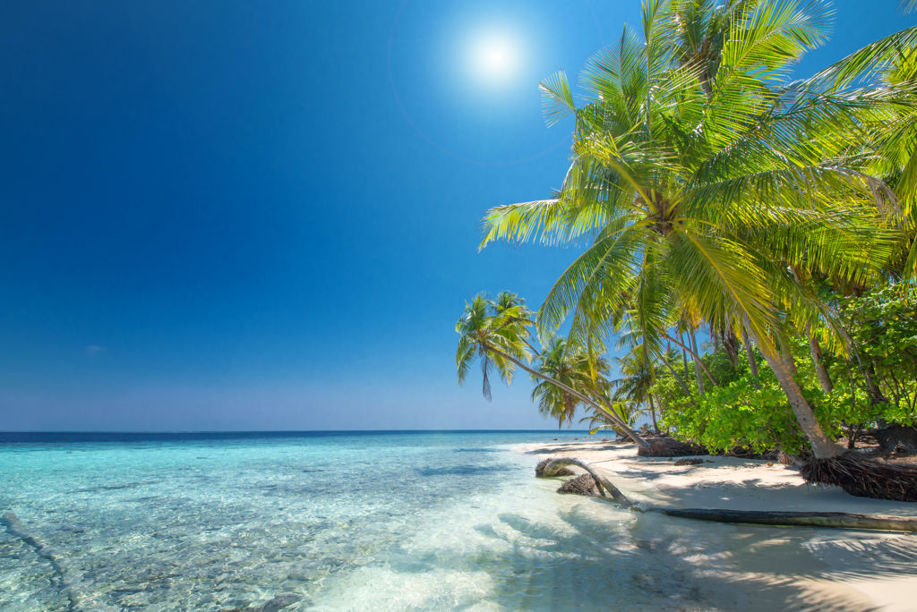 Cruise Only Curaçao & Caribische Parels Volpension
