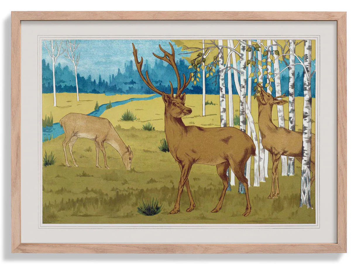 Rehe im Wald