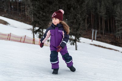 Didriksons Idre Overtrekksbukser, Royal Purple