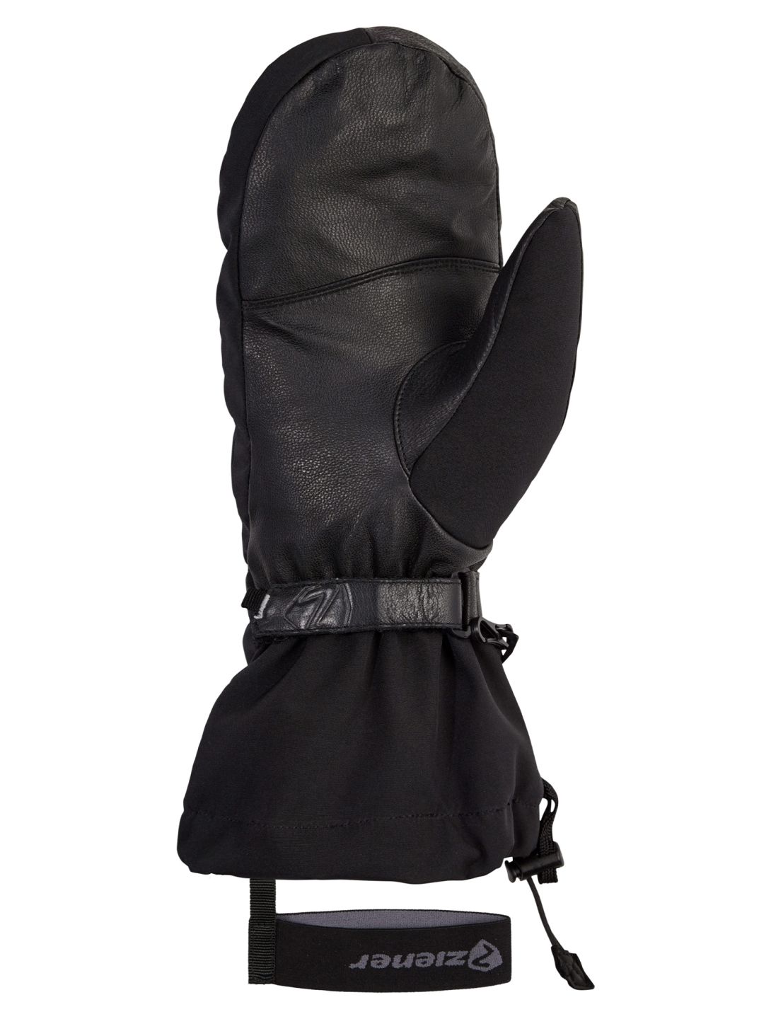 Gastilo GTX GL Mitten skiwanten heren