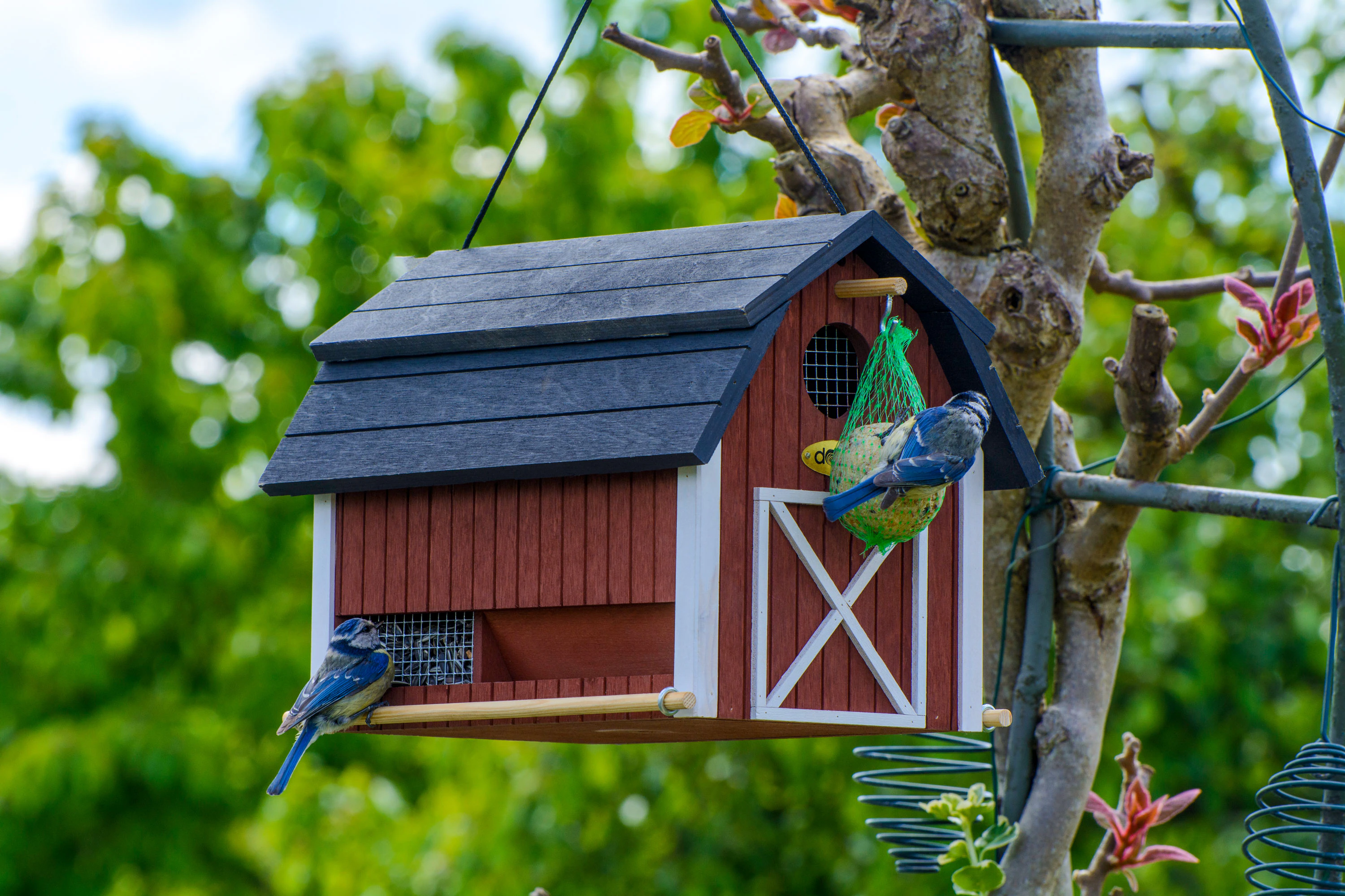 dobar Vogelhaus 