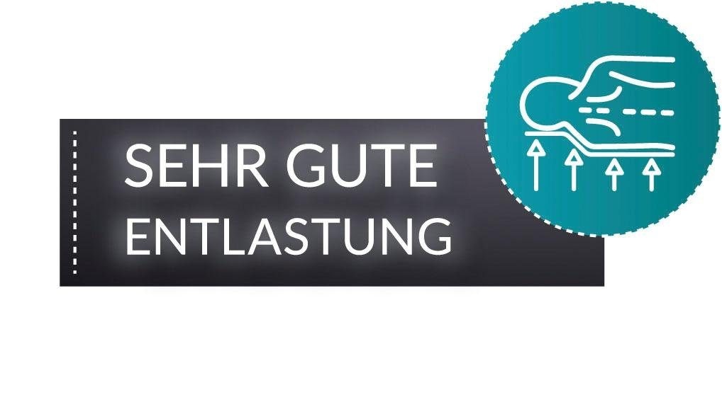 fan Taschenfederkernmatratze »Punktoflex De Luxe T« 22 cm hoch 544 Federn 1 Stk. tlg. Natürlicher Schutz gegen Milben