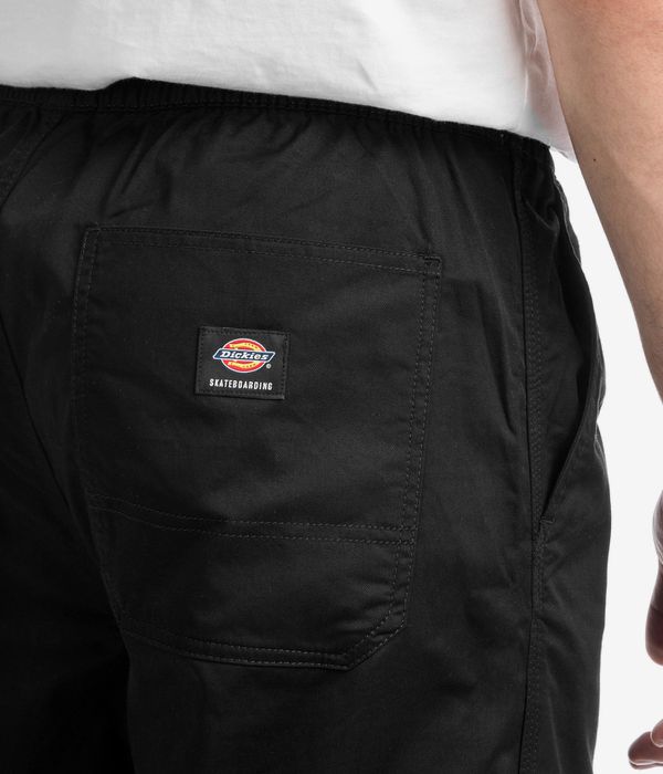 Dickies Mount Vista Hose (black)