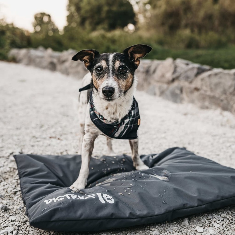 Tapis de caisse lodge gris foncé xxl
