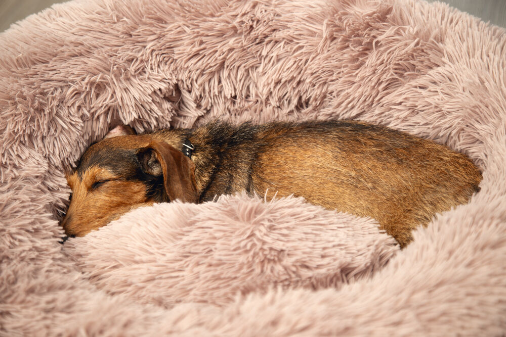 Beeztees Yali Pluche - Fluffy hondenmand - beige - S