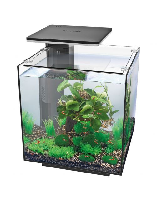 Superfish Qubiq 30 Pro 32x32x42.5 cm - Aquaria