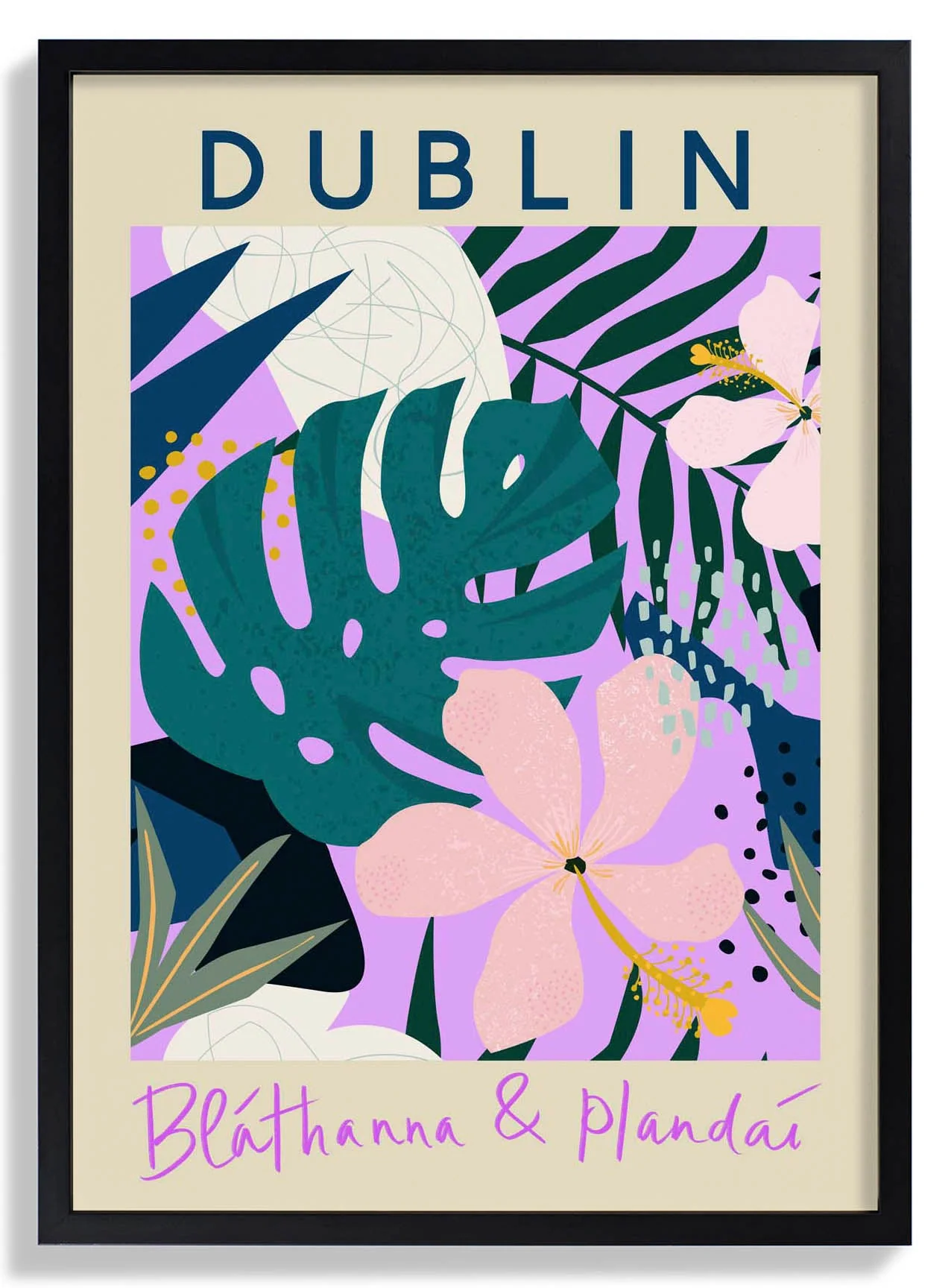 Dubliner Blumenmarkt