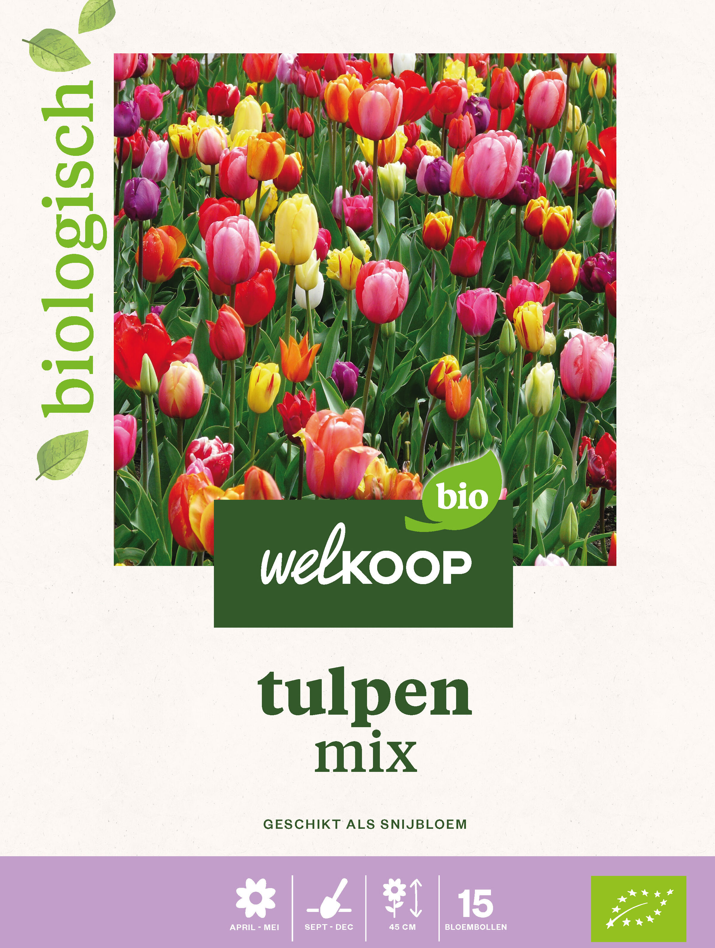 Welkoop Tulpen mix Biologisch - Bloembollen