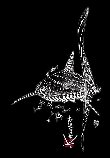 KANUMERA - ROBE REQUIN BALEINE FEMME