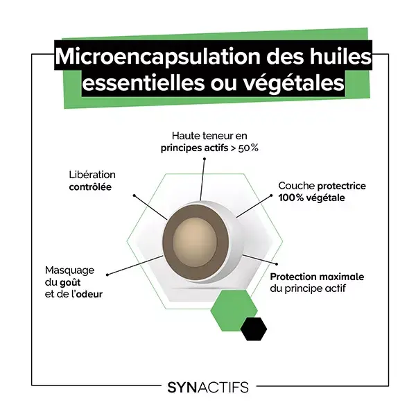 Aragan - Synactifs - CaloriProtect® - Emagrecimento - Gymnema - 60 cápsulas