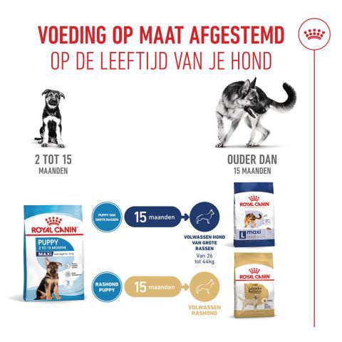 Royal Canin Maxi Puppy - Hondenvoer - 12 Kilogram - gevogelte