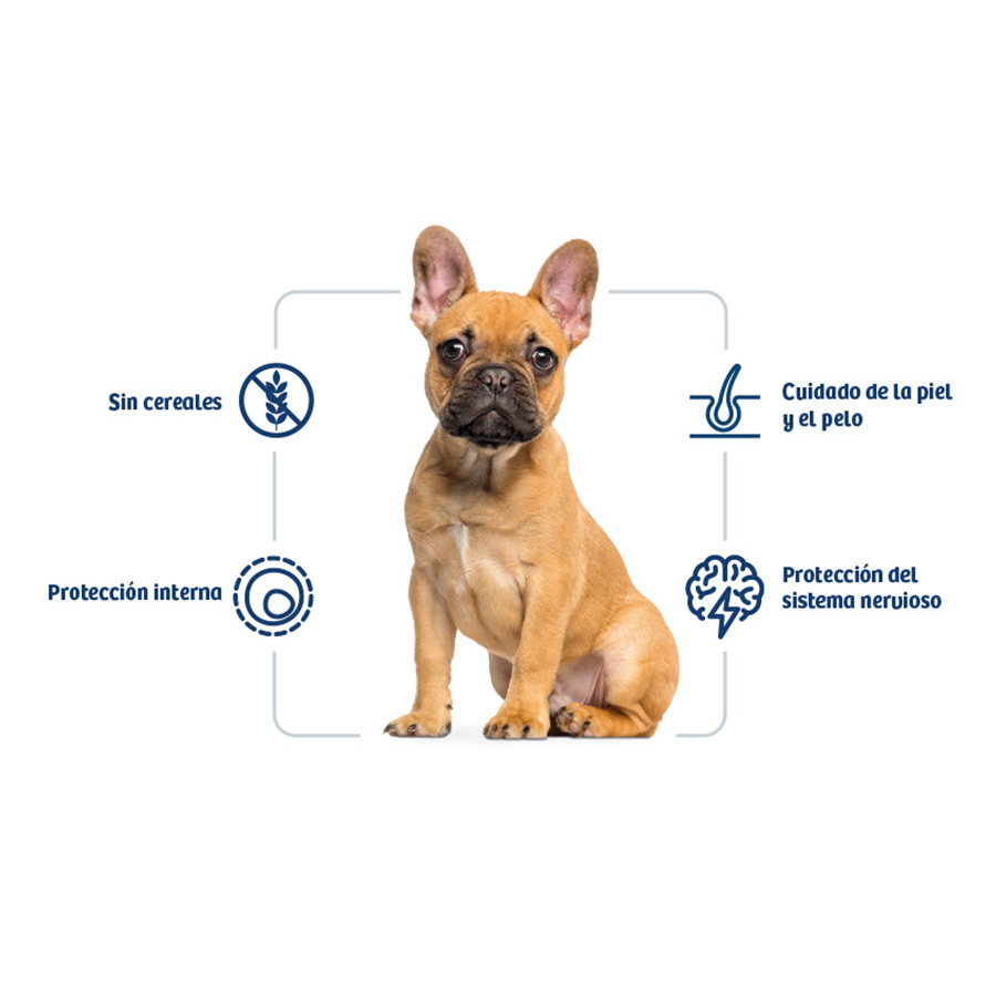 Ração para cães Nath Adult Mini Sensitive com peixe branco e salmão.