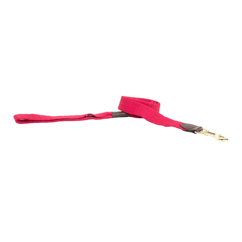 Kentucky JACQUARD - Laisse pour chien pink