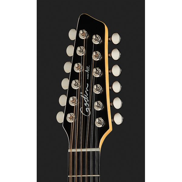 Godin A12 Black