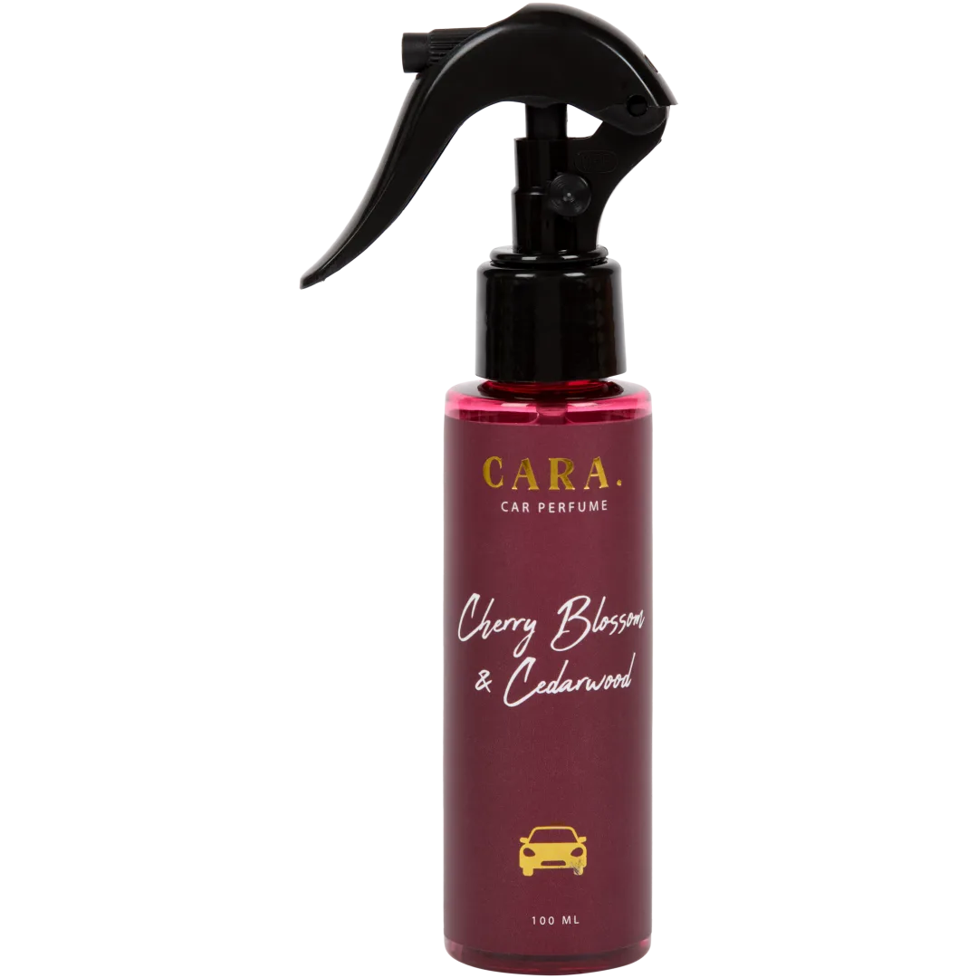 Luxe autoparfum 100 ml | diverse varianten