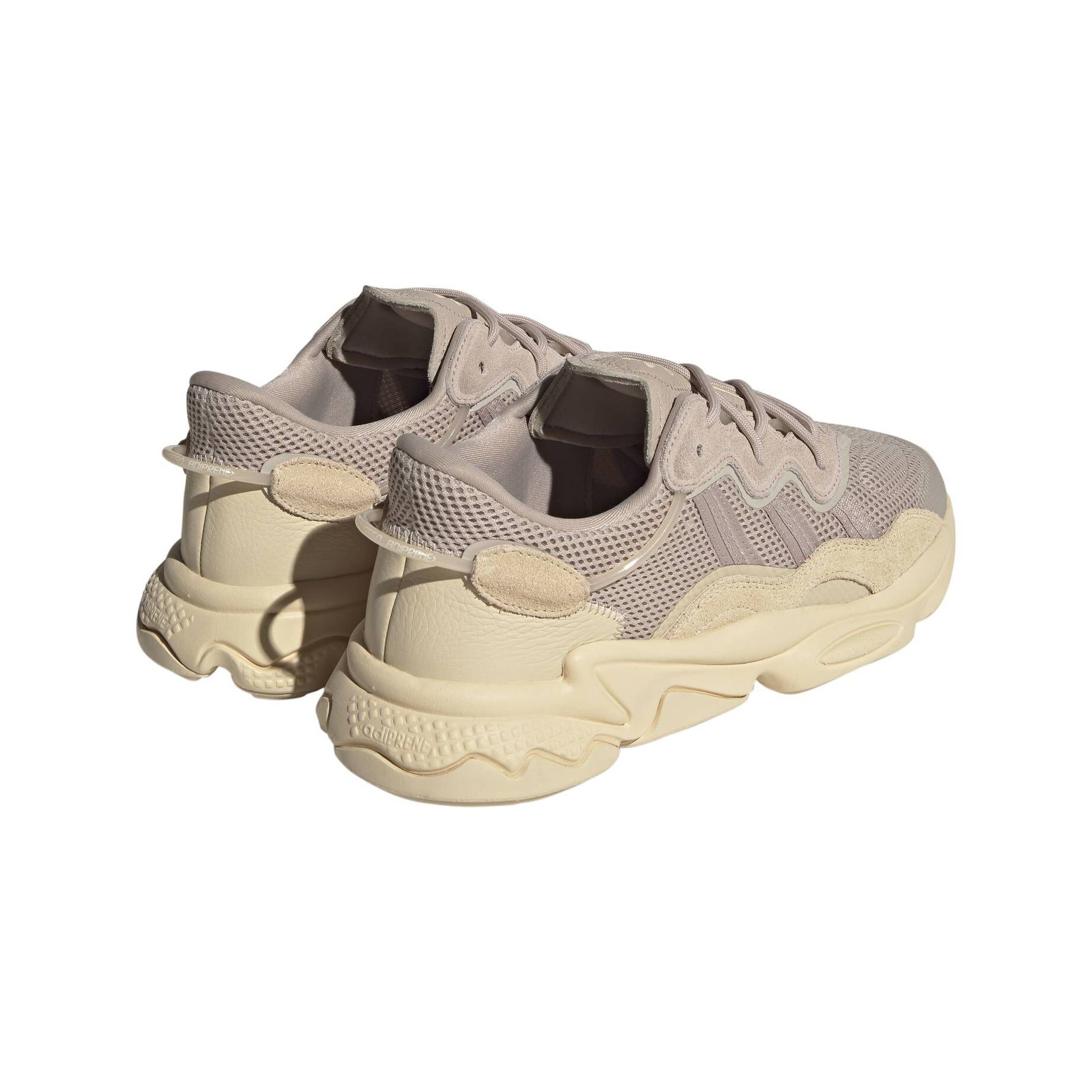adidas Originals| Herren Sneaker OZWEEGO