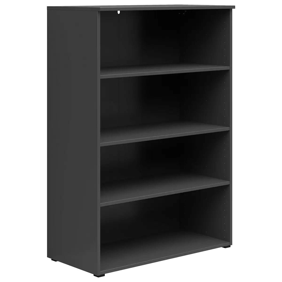 Regal 2T Cabinet Anthrazit