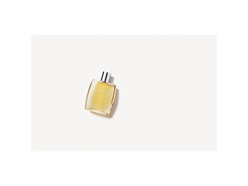 Burberry For Men Eau De Toilette 100 ml (man)